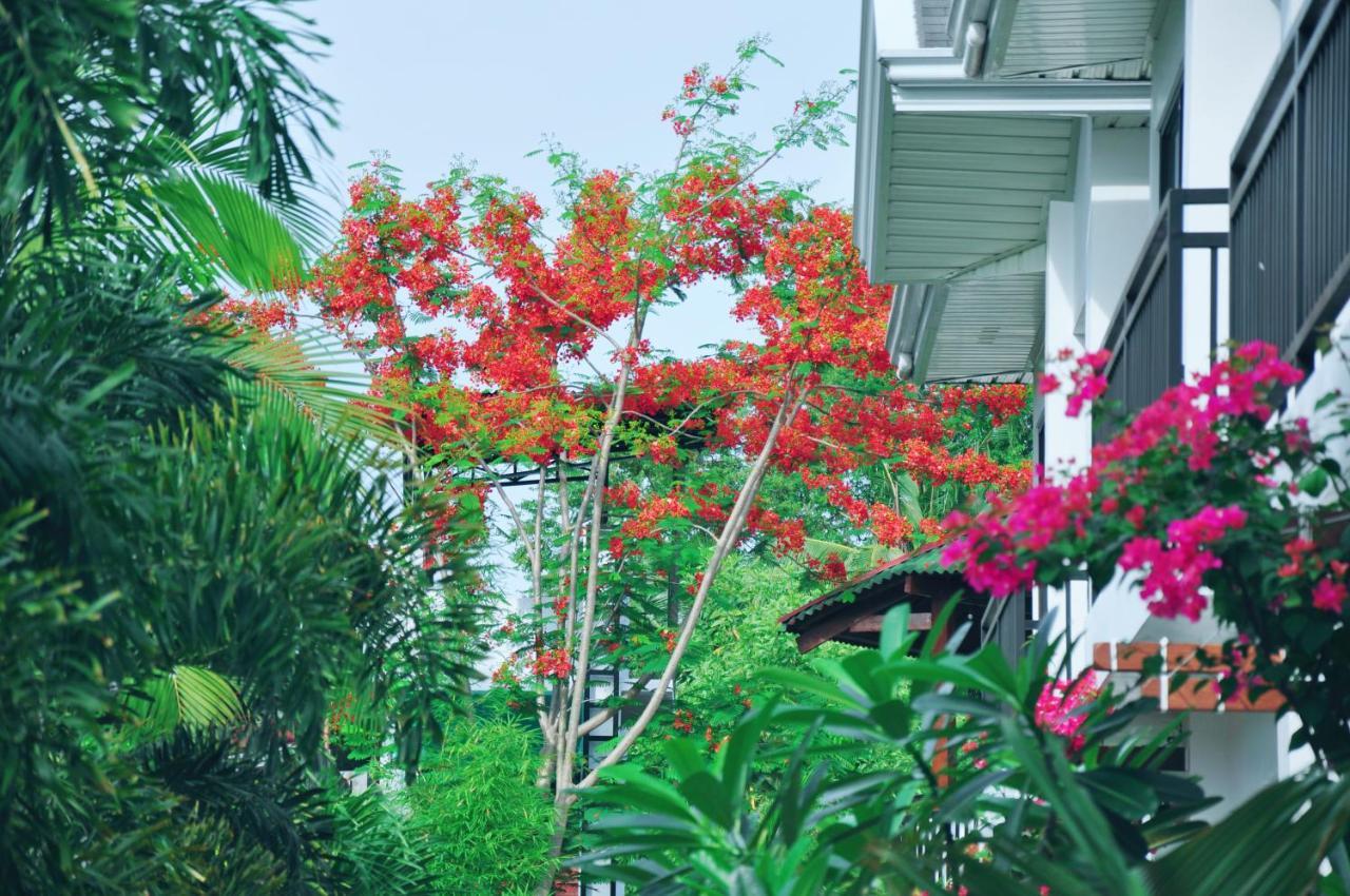 Villa Tana Mysterious Garden Panglao Exterior foto